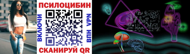 где купить наркотик  Злынка  Псилоцибиновые грибы ЛСД 