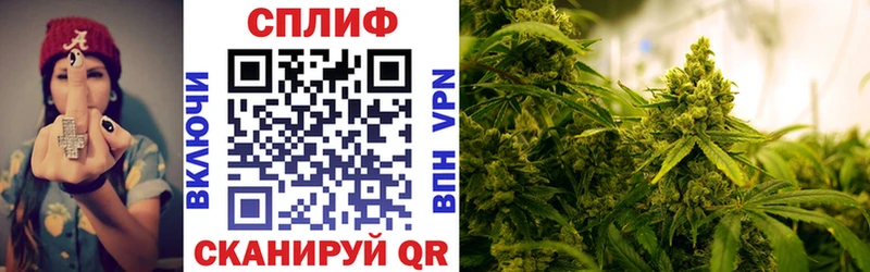 Каннабис планчик  Злынка 